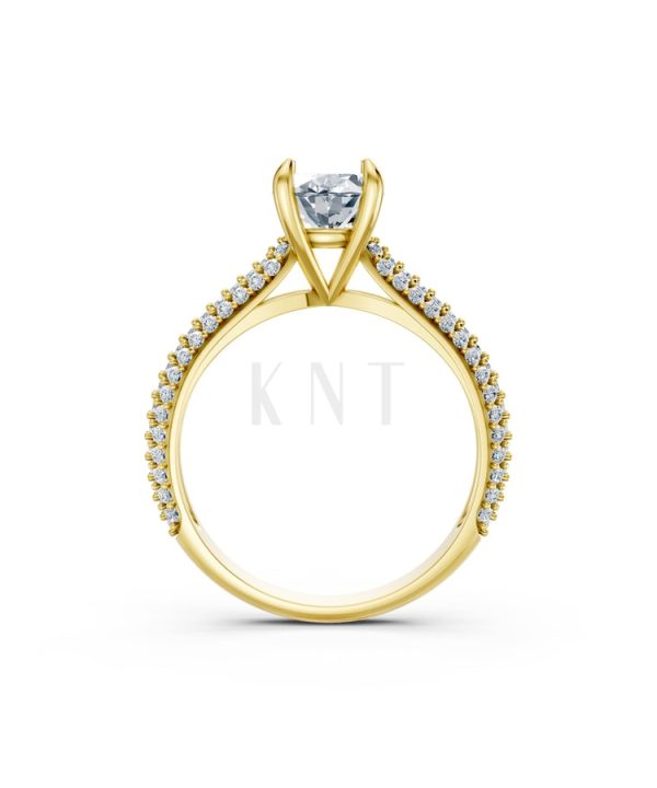 Nhẫn đính hôn đá Moissanite RM17 – ARI Vàng Gold vàng 10K/14K/18K/607 cao cấp, thanh lịch