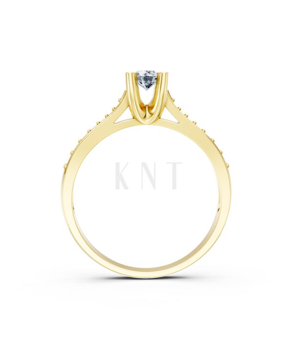 Nhẫn đính hôn R19 màu Vàng Gold vàng 10K/14K/18K/607 cao cấp, thanh lịch