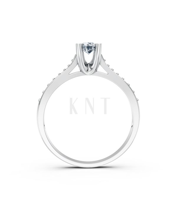 Nhẫn đính hôn R19 màu vàng trắng White Gold vàng sáng bóng, thiết kế trẻ trung