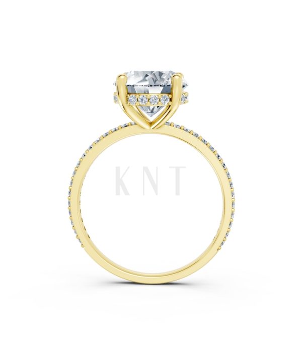 Nhẫn đính hôn đá US R319 màu Vàng Gold vàng 10K/14K/18K/607 cao cấp, thanh lịch