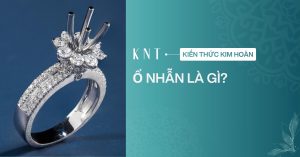 Ổ nhẫn là gì? Các kiểu ổ nhẫn phổ biến và cách chọn chuẩn nhất