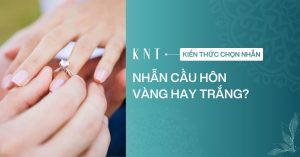 Nên chọn nhẫn cầu hôn vàng hay trắng? Bí quyết chọn nhẫn cho nàng