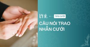 Câu nói trao nhẫn cưới: 15+ mẫu ngắn gọn, ý nghĩa và dễ nhớ