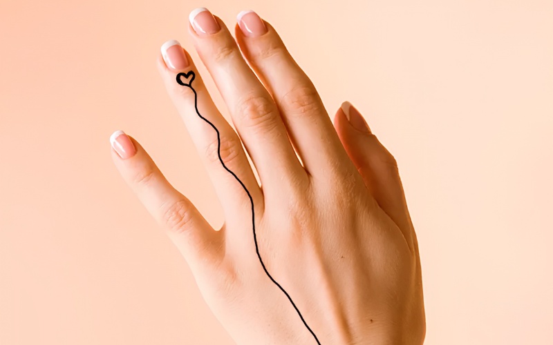 Vena Amoris tĩnh mạch tình yêu trong văn hóa nhẫn cưới phương Tây