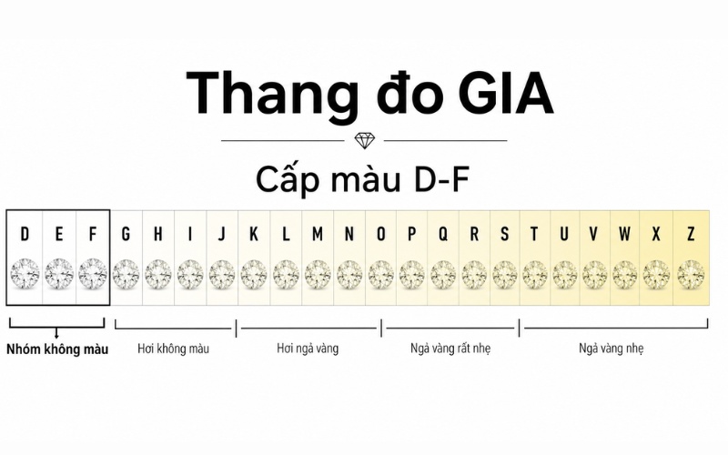 Kim cương nước E và F đều thuộc nhóm không màu (Colorless) theo thang đo D - Z của GIA