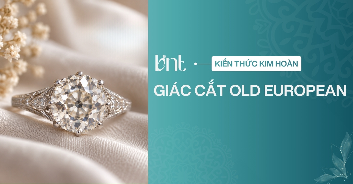 Giác cắt Old European: Đặc điểm, cách nhận biết và phân biệt